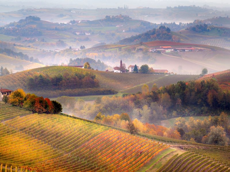 Barolo Piedmont for banner